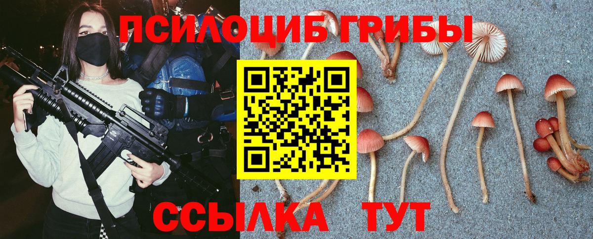 Сыктывкар  Псилоцибиновые грибы Psilocybe  Вход с VPN 