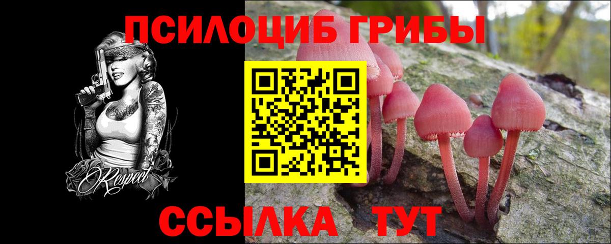 Галлюциногенные грибы MAGIC MUSHROOMS Сыктывкар